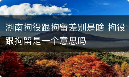 湖南拘役跟拘留差别是啥 拘役跟拘留是一个意思吗