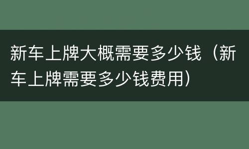 新车上牌大概需要多少钱（新车上牌需要多少钱费用）