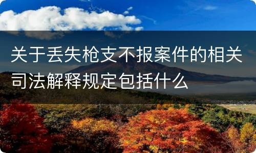 关于丢失枪支不报案件的相关司法解释规定包括什么