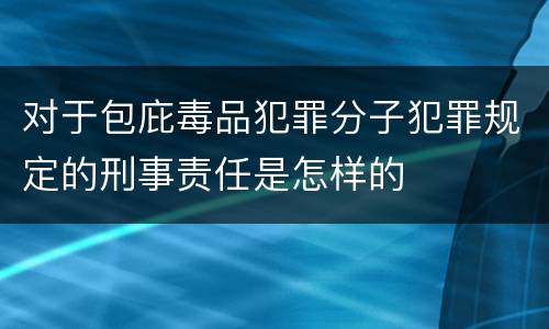 对于包庇毒品犯罪分子犯罪规定的刑事责任是怎样的