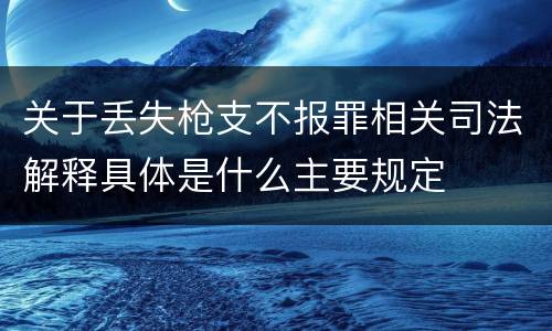 关于丢失枪支不报罪相关司法解释具体是什么主要规定