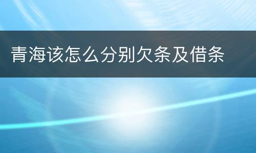 青海该怎么分别欠条及借条