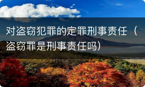 对盗窃犯罪的定罪刑事责任（盗窃罪是刑事责任吗）