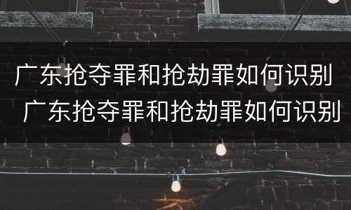广东抢夺罪和抢劫罪如何识别 广东抢夺罪和抢劫罪如何识别的
