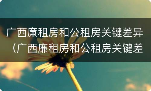 广西廉租房和公租房关键差异（广西廉租房和公租房关键差异大吗）