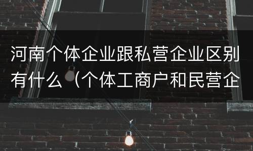 河南个体企业跟私营企业区别有什么（个体工商户和民营企业）