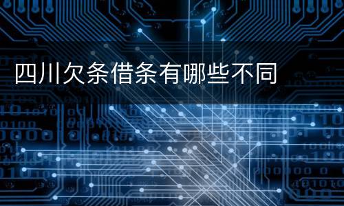 四川欠条借条有哪些不同