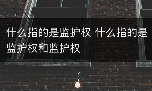 什么指的是监护权 什么指的是监护权和监护权