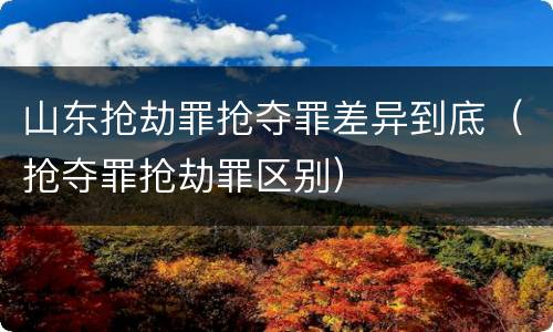 山东抢劫罪抢夺罪差异到底（抢夺罪抢劫罪区别）