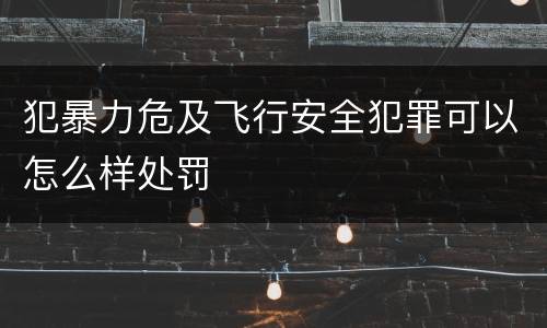 犯暴力危及飞行安全犯罪可以怎么样处罚