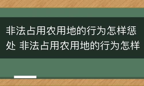 非法占用农用地的行为怎样惩处 非法占用农用地的行为怎样惩处他人