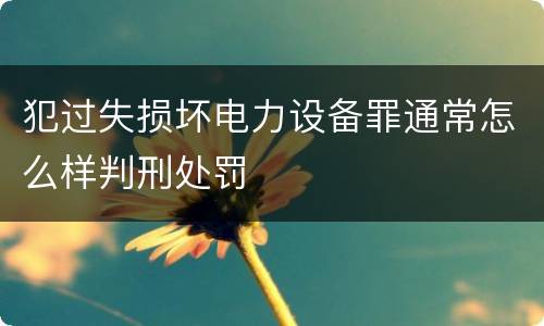 犯过失损坏电力设备罪通常怎么样判刑处罚