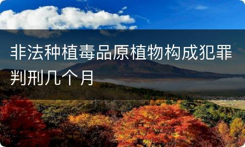 非法种植毒品原植物构成犯罪判刑几个月