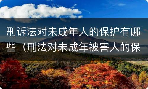 刑诉法对未成年人的保护有哪些（刑法对未成年被害人的保护）