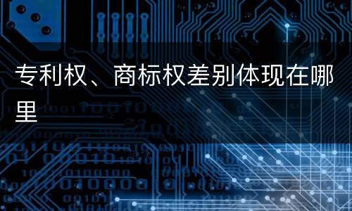 专利权、商标权差别体现在哪里