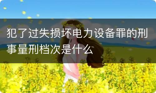 犯了过失损坏电力设备罪的刑事量刑档次是什么