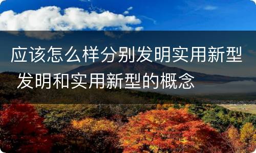 应该怎么样分别发明实用新型 发明和实用新型的概念