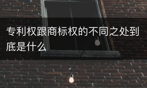 专利权跟商标权的不同之处到底是什么