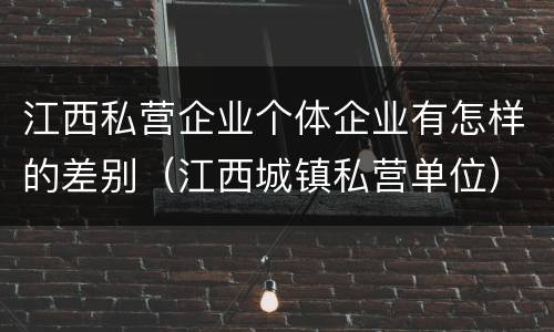 江西私营企业个体企业有怎样的差别（江西城镇私营单位）