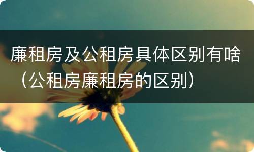 廉租房及公租房具体区别有啥（公租房廉租房的区别）