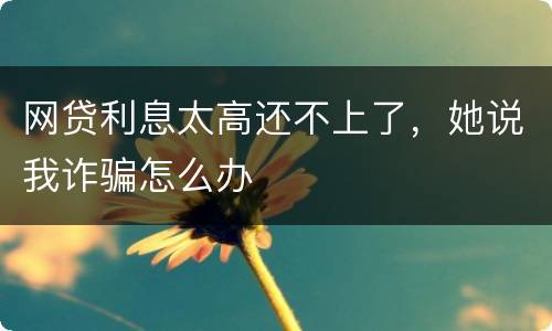 网贷利息太高还不上了，她说我诈骗怎么办