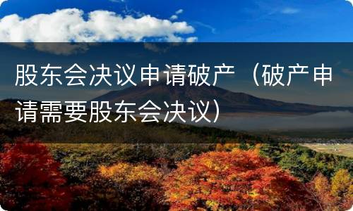 股东会决议申请破产（破产申请需要股东会决议）