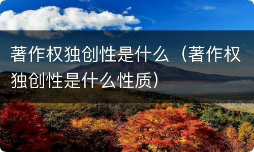 著作权独创性是什么（著作权独创性是什么性质）