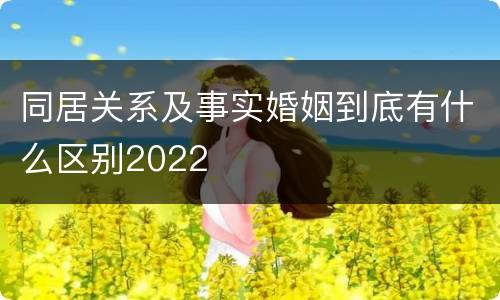 同居关系及事实婚姻到底有什么区别2022