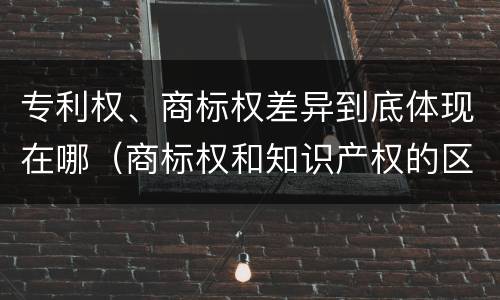 专利权、商标权差异到底体现在哪（商标权和知识产权的区别）