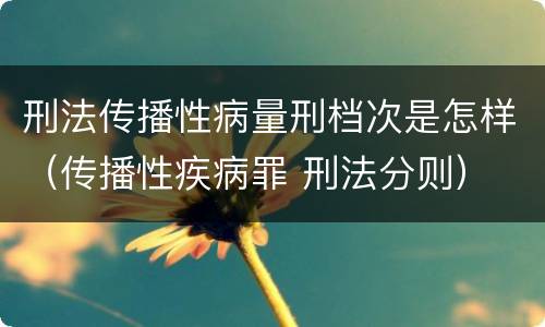 刑法传播性病量刑档次是怎样（传播性疾病罪 刑法分则）