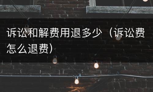 诉讼和解费用退多少（诉讼费怎么退费）