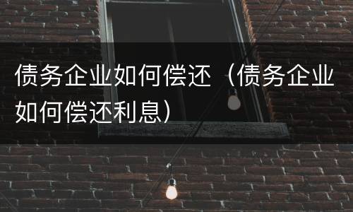 债务企业如何偿还（债务企业如何偿还利息）