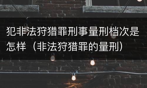 犯非法狩猎罪刑事量刑档次是怎样（非法狩猎罪的量刑）