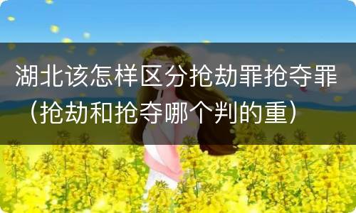 湖北该怎样区分抢劫罪抢夺罪（抢劫和抢夺哪个判的重）