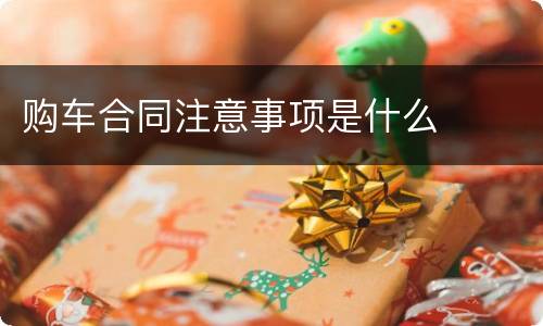 购车合同注意事项是什么