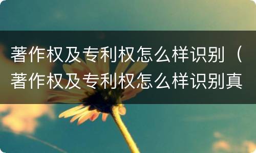 著作权及专利权怎么样识别（著作权及专利权怎么样识别真假）