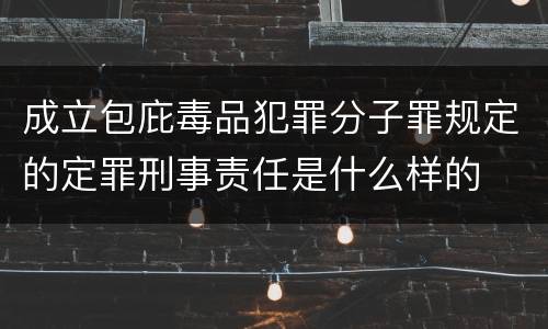 成立包庇毒品犯罪分子罪规定的定罪刑事责任是什么样的