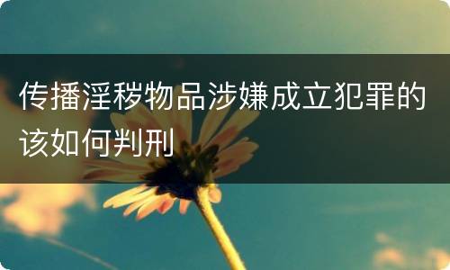 传播淫秽物品涉嫌成立犯罪的该如何判刑