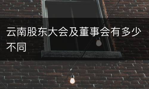 云南股东大会及董事会有多少不同