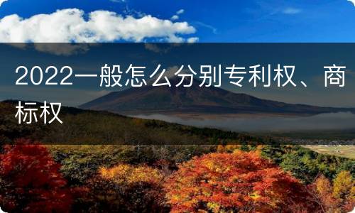 2022一般怎么分别专利权、商标权
