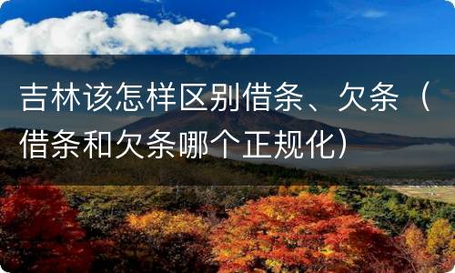 吉林该怎样区别借条、欠条（借条和欠条哪个正规化）