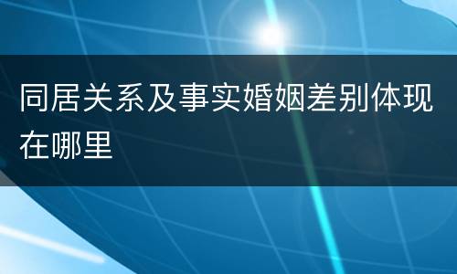 同居关系及事实婚姻差别体现在哪里