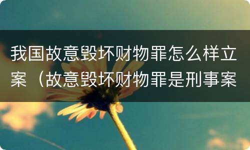 我国故意毁坏财物罪怎么样立案（故意毁坏财物罪是刑事案件吗）