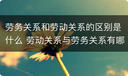 劳务关系和劳动关系的区别是什么 劳动关系与劳务关系有哪些区别