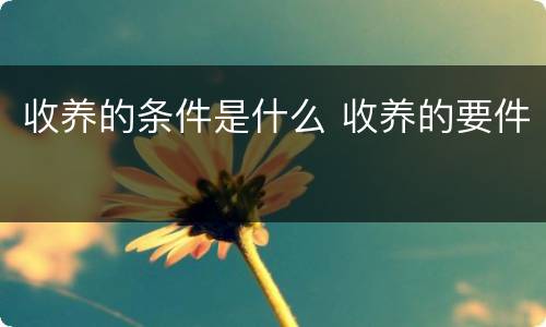 收养的条件是什么 收养的要件