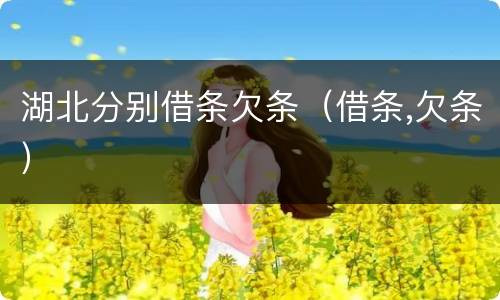 湖北分别借条欠条（借条,欠条）