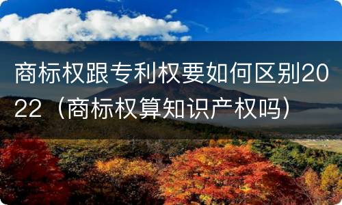 商标权跟专利权要如何区别2022（商标权算知识产权吗）