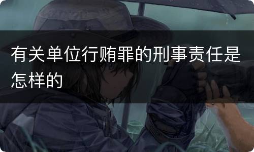 有关单位行贿罪的刑事责任是怎样的