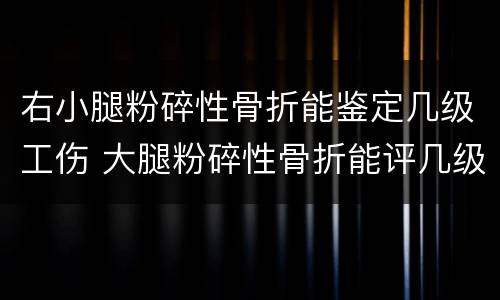 右小腿粉碎性骨折能鉴定几级工伤 大腿粉碎性骨折能评几级伤残鉴定