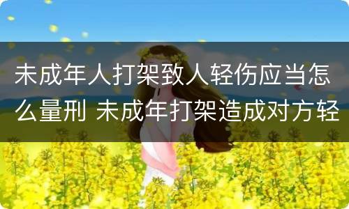 未成年人打架致人轻伤应当怎么量刑 未成年打架造成对方轻伤怎么判刑